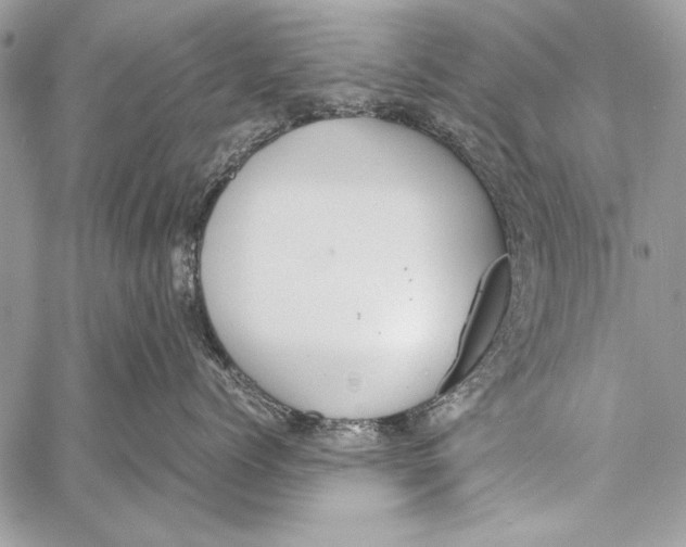 X0000058110768200510171244