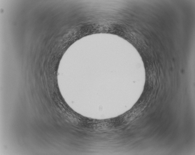 X0000058110769200510171243