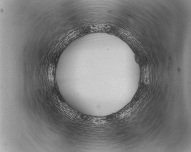 X0000058110770200510171243