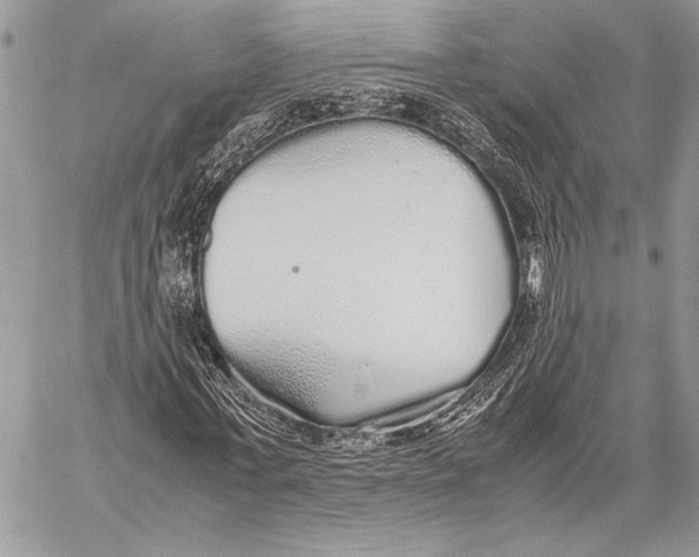 X0000058110771200510171243