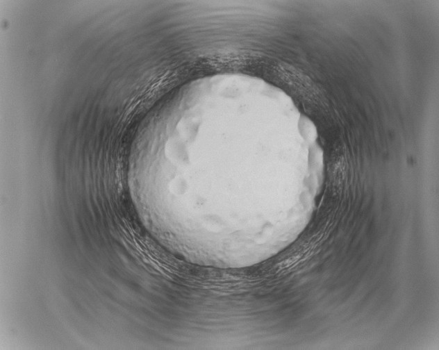 X0000058110772200510171243