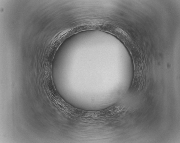 X0000058110773200510171243