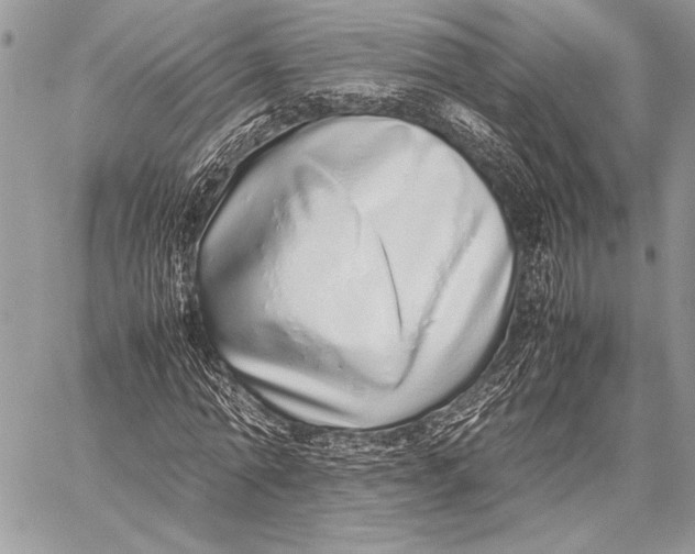 X0000058110774200510171243