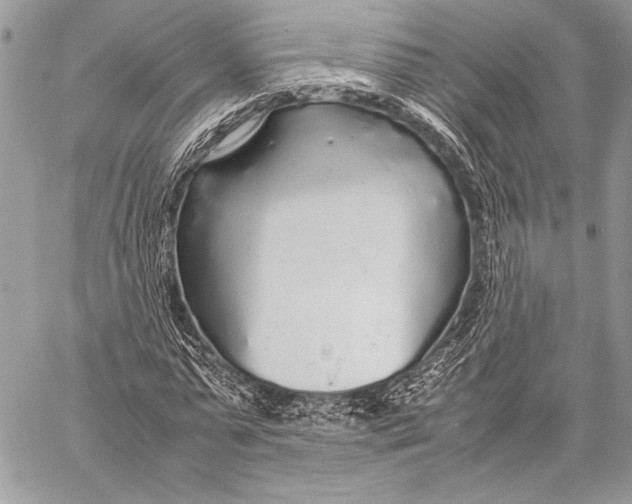 X0000058110775200510171243