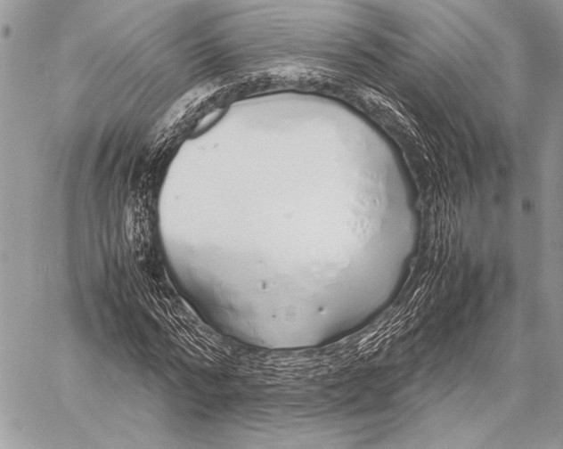 X0000058110776200510171243