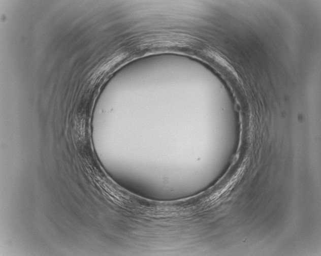 X0000058110777200510171243