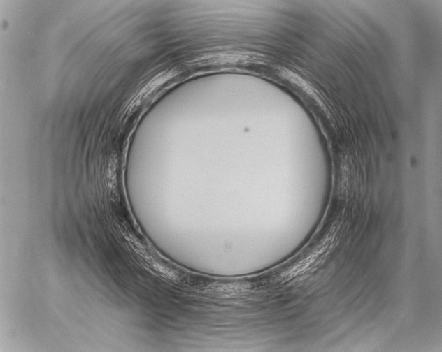 X0000058110778200510171243