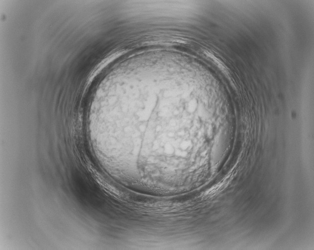 X0000058110779200510171243