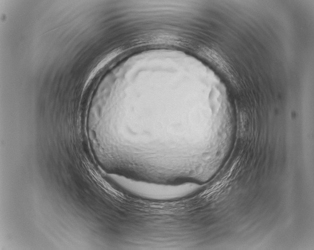 X0000058110780200510171243