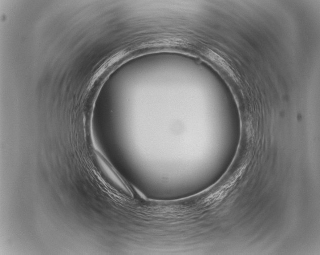 X0000058110781200510171243