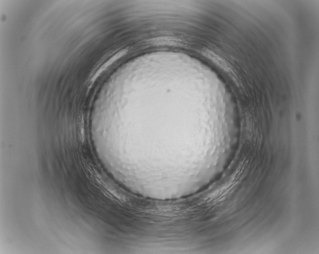 X0000058110782200510171243
