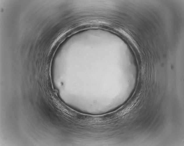 X0000058110783200510171243