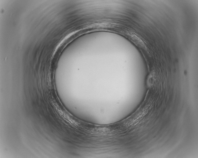 X0000058110784200510171243