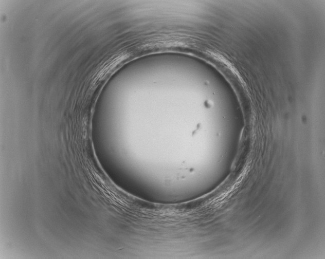 X0000058110785200510171243