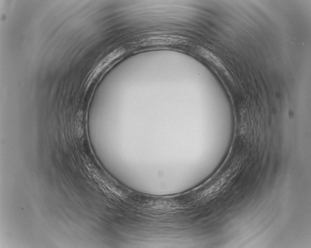 X0000058110786200510171243