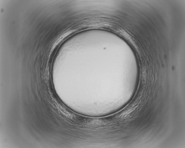 X0000058110787200510171243