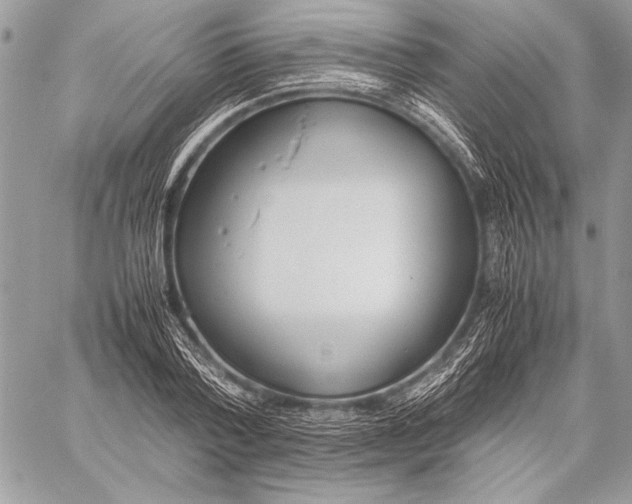 X0000058110788200510171243