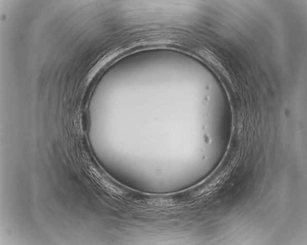 X0000058110789200510171243