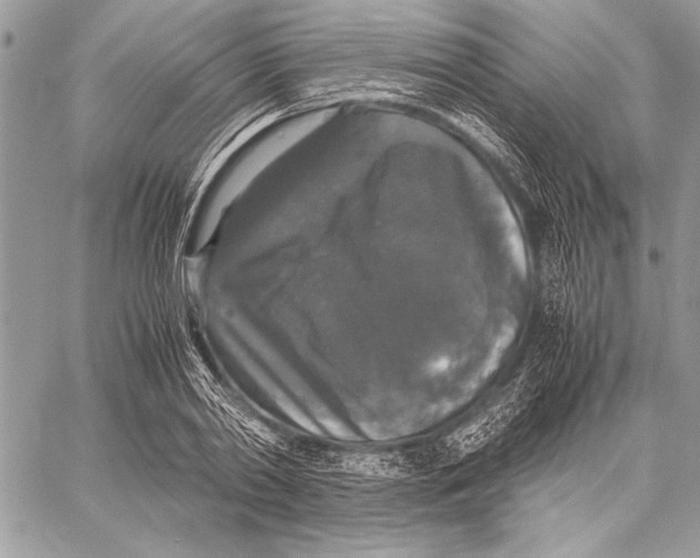 X0000058110790200510171243