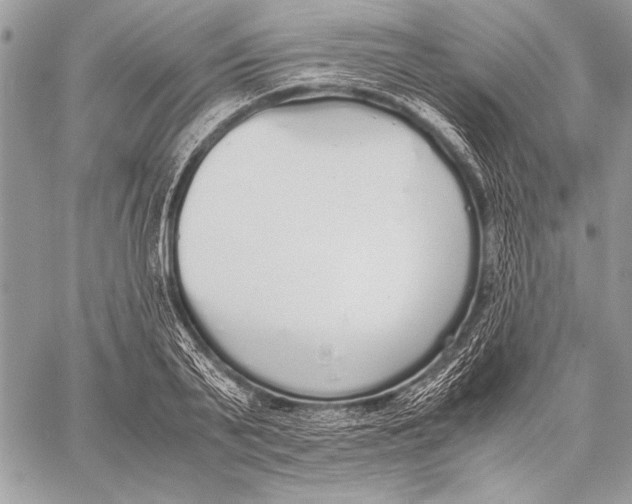 X0000058110791200510171243