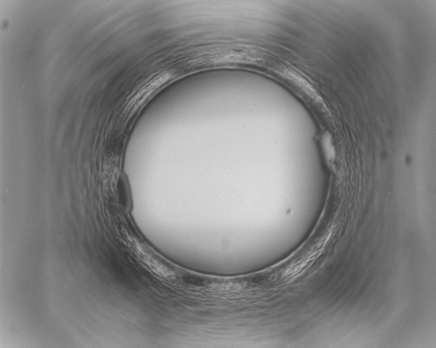 X0000058110793200510171243