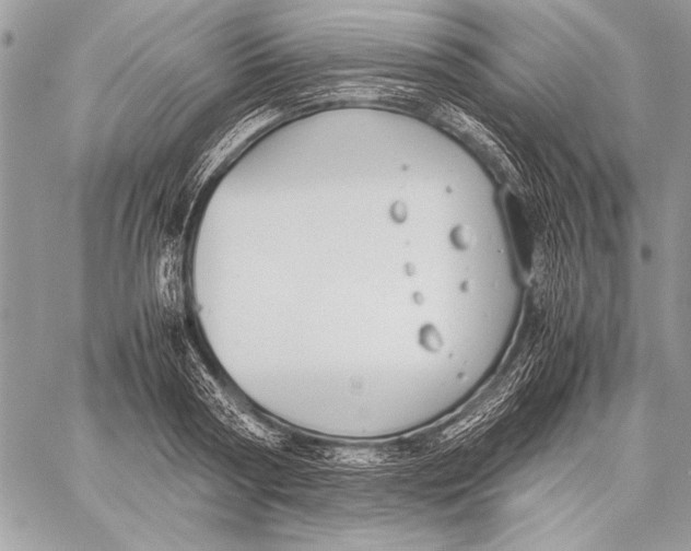 X0000058110794200510171243