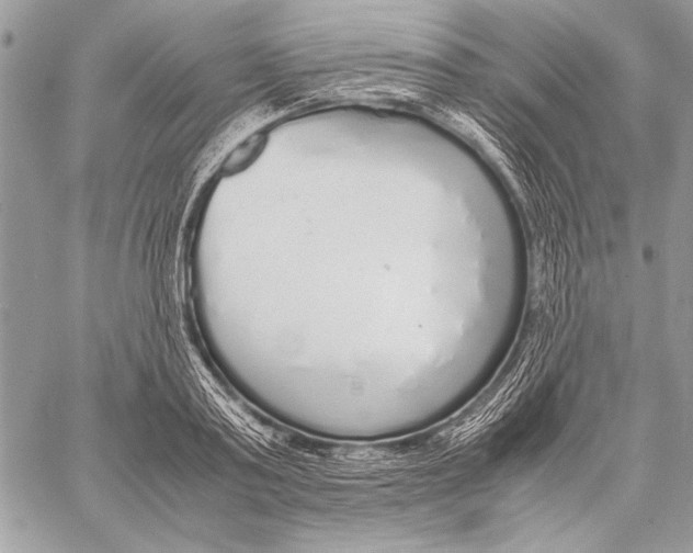 X0000058110795200510171243