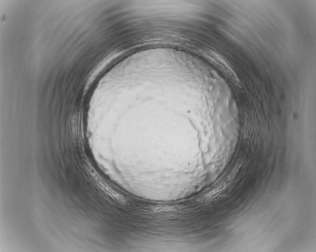 X0000058110796200510171243