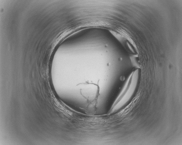 X0000058110797200510171243