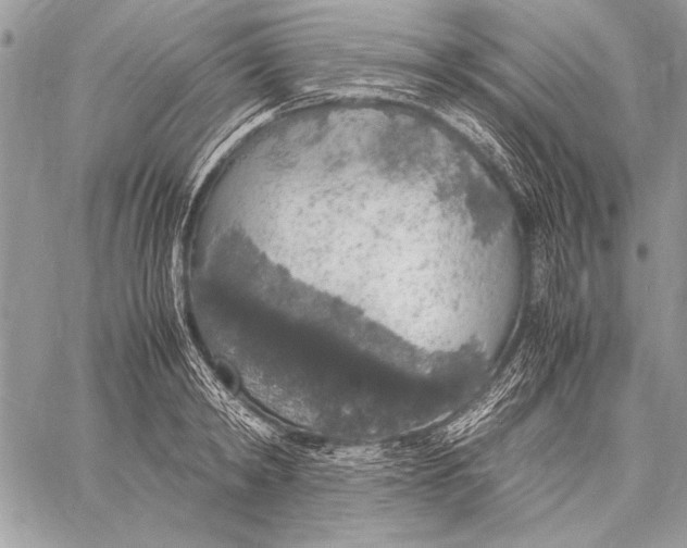 X0000058110798200510171243