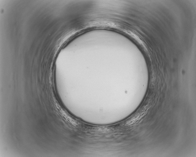 X0000058110799200510171243