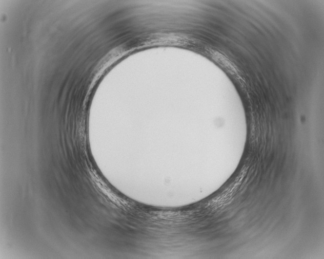 X0000058110800200510171243