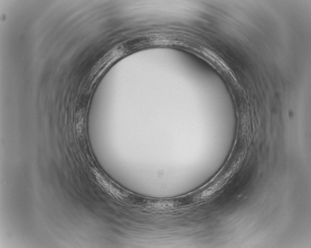 X0000058110801200510171243