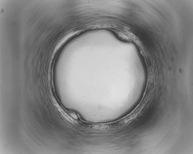 X0000058110803200510171243