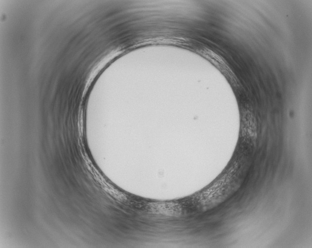 X0000058110804200510171243