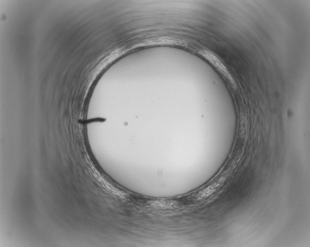 X0000058110805200510171243