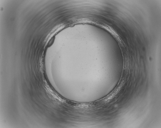 X0000058110806200510171243