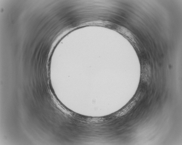 X0000058110808200510171243