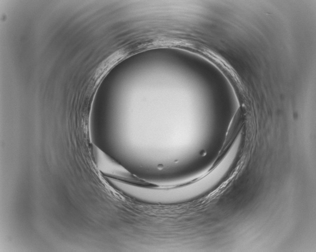 X0000058110809200510171243