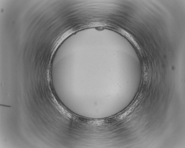 X0000058110810200510171243