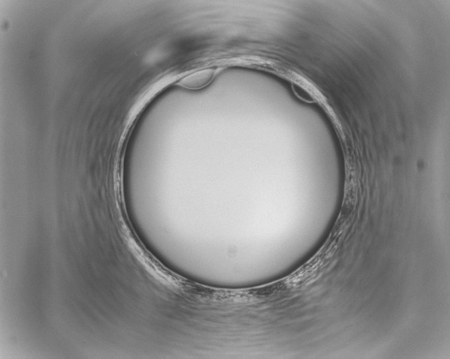 X0000058110811200510171243