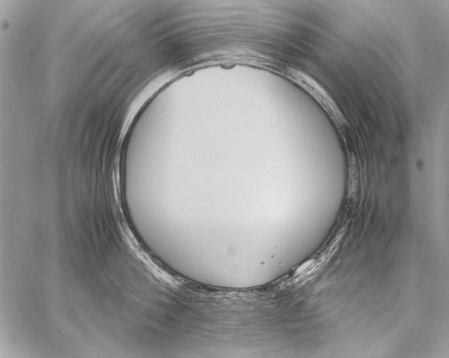 X0000058110812200510171243