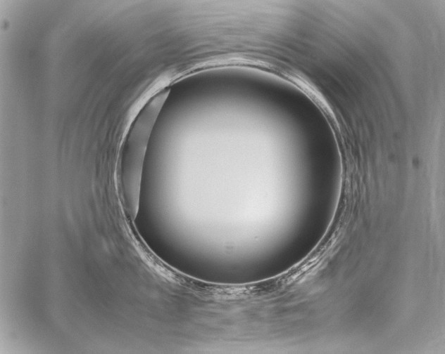 X0000058110813200510171243