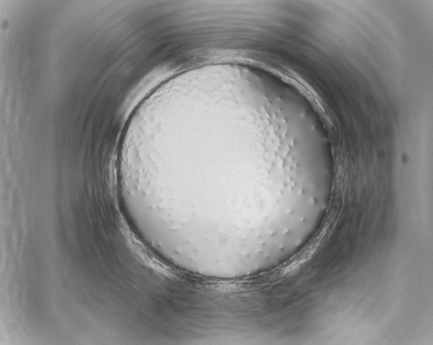 X0000058110814200510171243