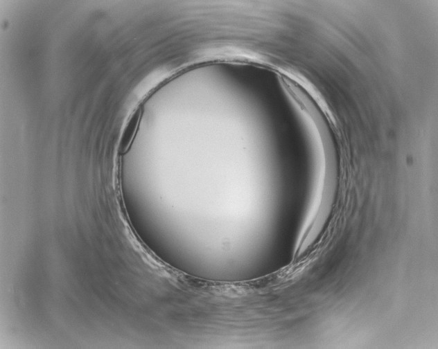 X0000058110815200510171243