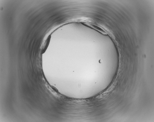 X0000058110816200510171243