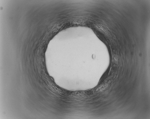 X0000058110817200510171242