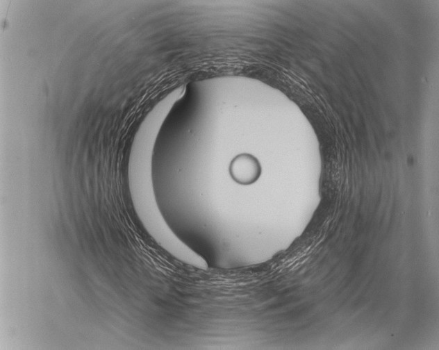 X0000058110818200510171242