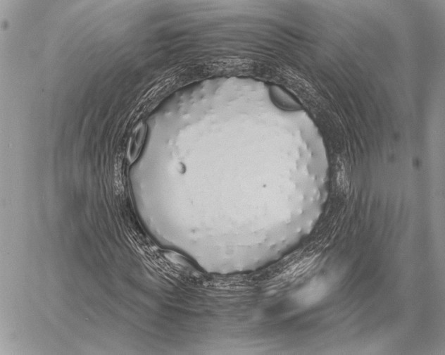 X0000058110819200510171242