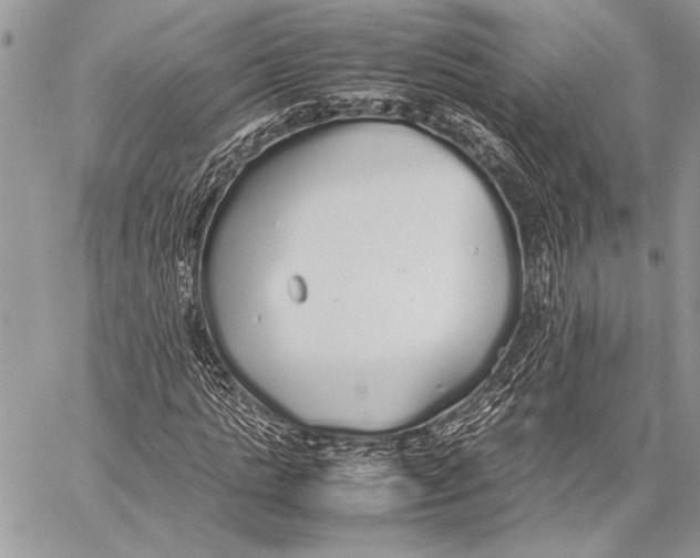 X0000058110821200510171242